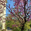 ���� ����, ������ - ��������� 10 ��� 2021 � ������ ���� ����