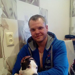 �������, ������� ��������, 38 ���