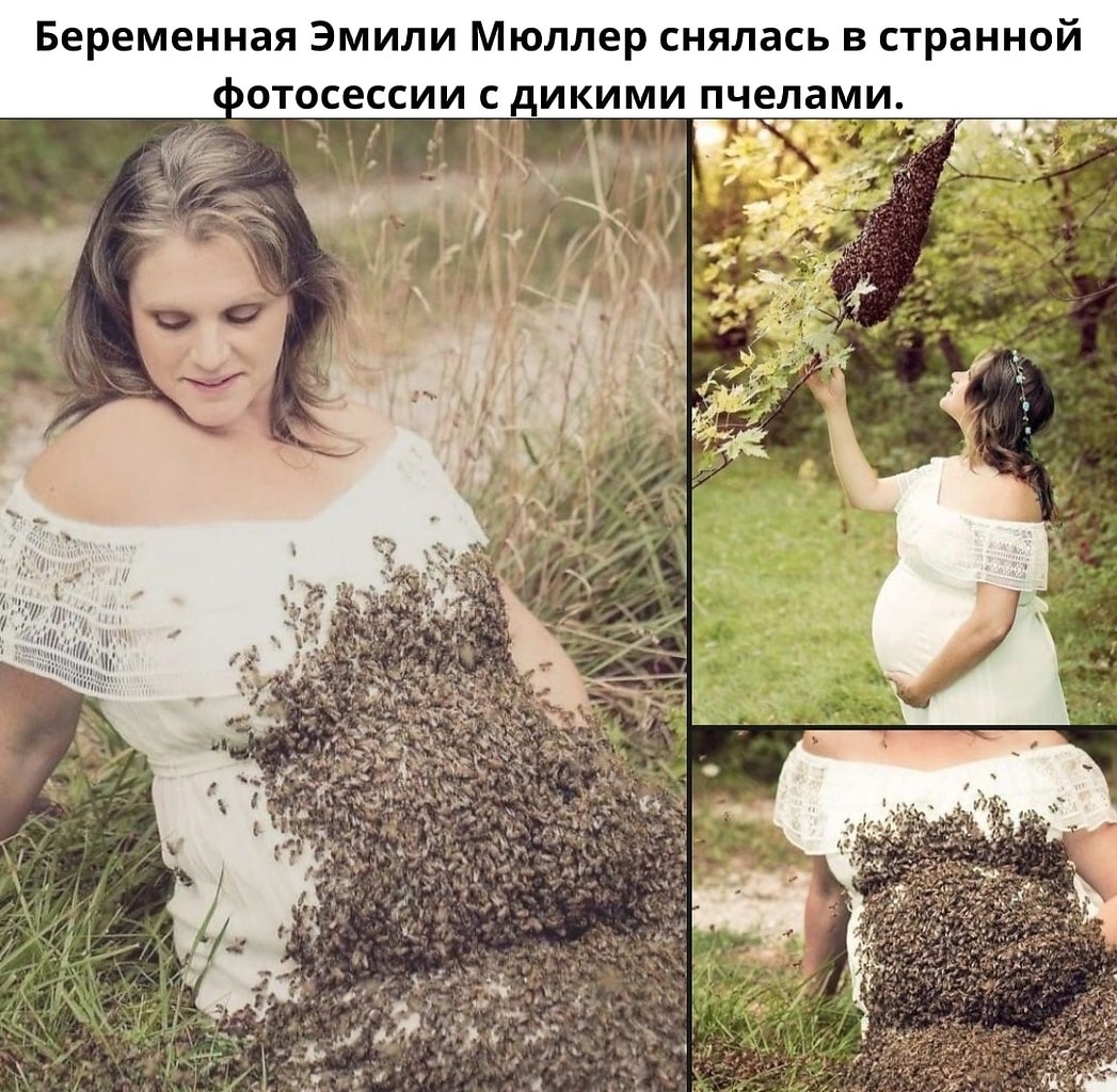    .        .