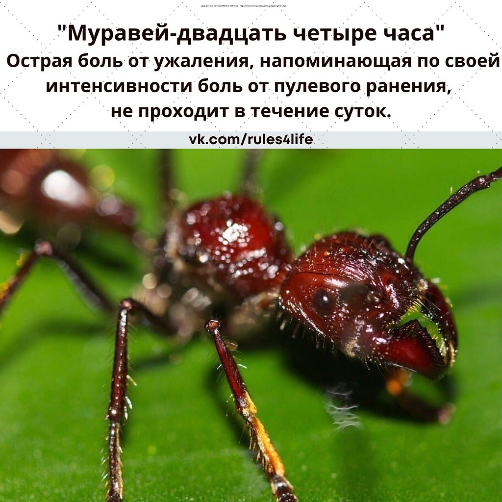  ,  ...        ,   ...