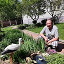 ���� �������, ��������� - ��������� 7 ���� 2021 � ������ ���� ����������