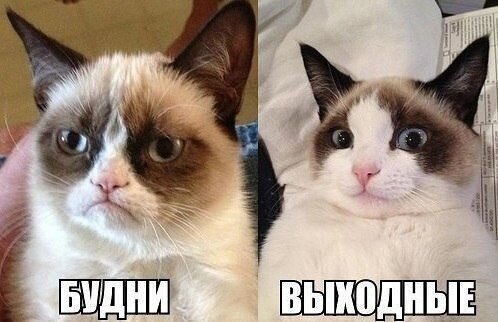    - 10  2021  17:25