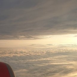 �������, ������, 62 ����