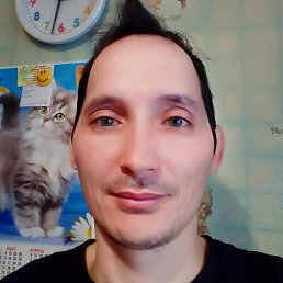 �����, ������, 46 ���