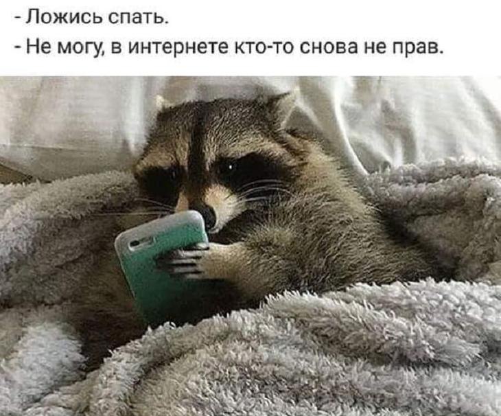  - 6  2022  22:41