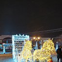  ,  , 55  -  17  2021    