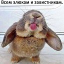 ���� �����, ������������ - ��������� 31 ������� 2021 � ������ ���� ���������