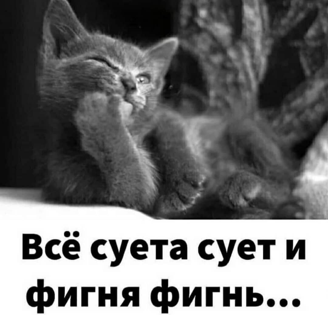 ***Victoria Viktorovna*** - 2  2021  04:18