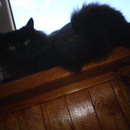 ���� ������, �������� - ��������� 31 ������� 2021