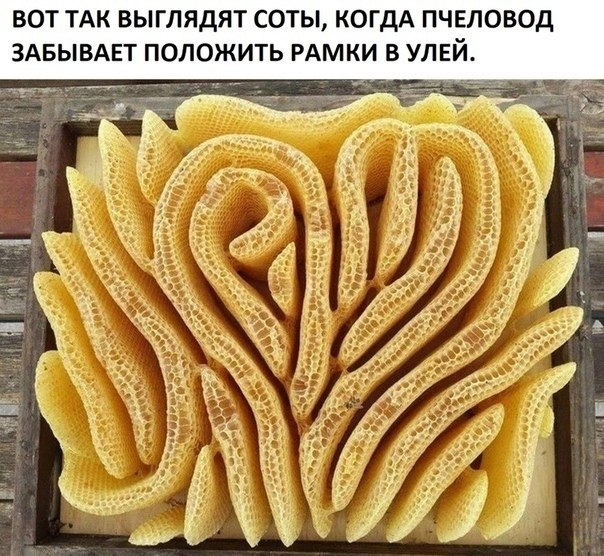 ,  ...