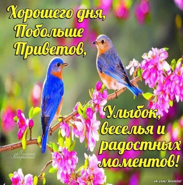   ,    . - 28  2021  12:34 - 9