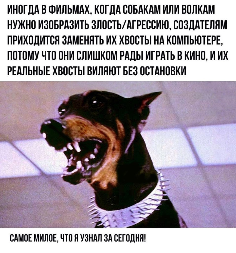  - 23  2021  14:40