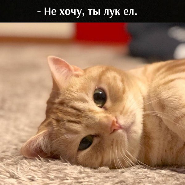       - 6  2021  23:28 - 4