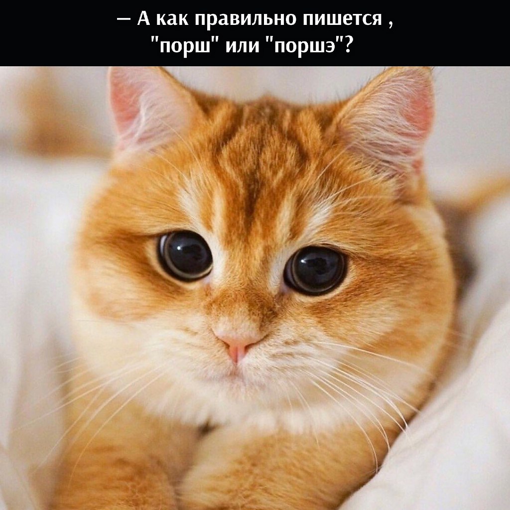       - 21  2021  16:39 - 3