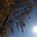 ���� Nikita&reg;, ������������, 106 ��� - ��������� 30 ������� 2021 � ������ ������ ��������