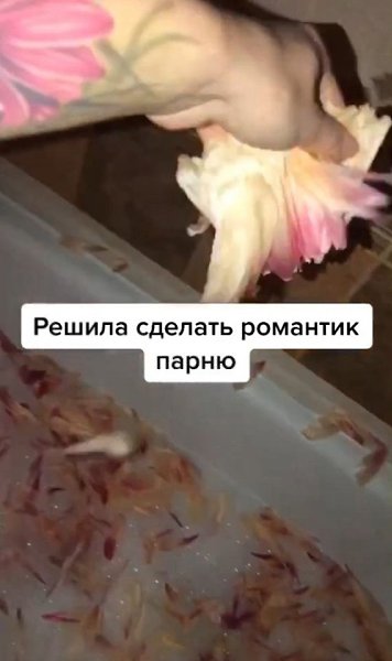 ���� ��� �������� ��������, �� �� �������� �� ������