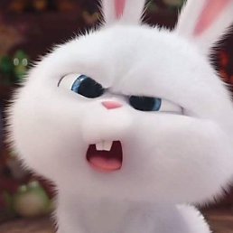 Donut, ������, 49 ���