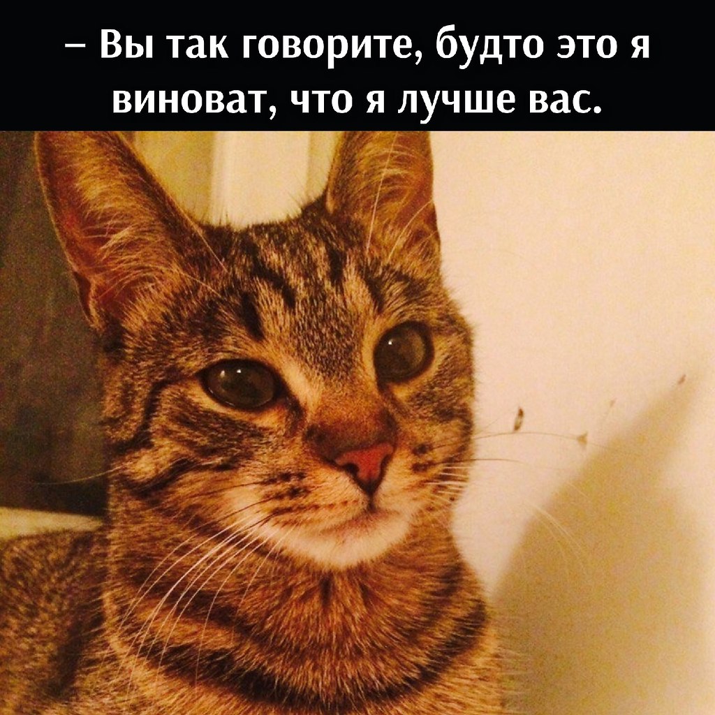       - 5  2021  13:05 - 2