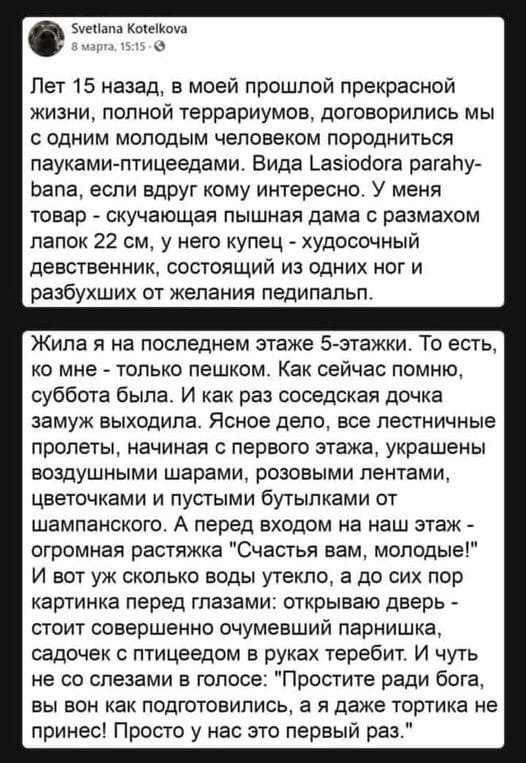 Anna - 22  2021  21:18