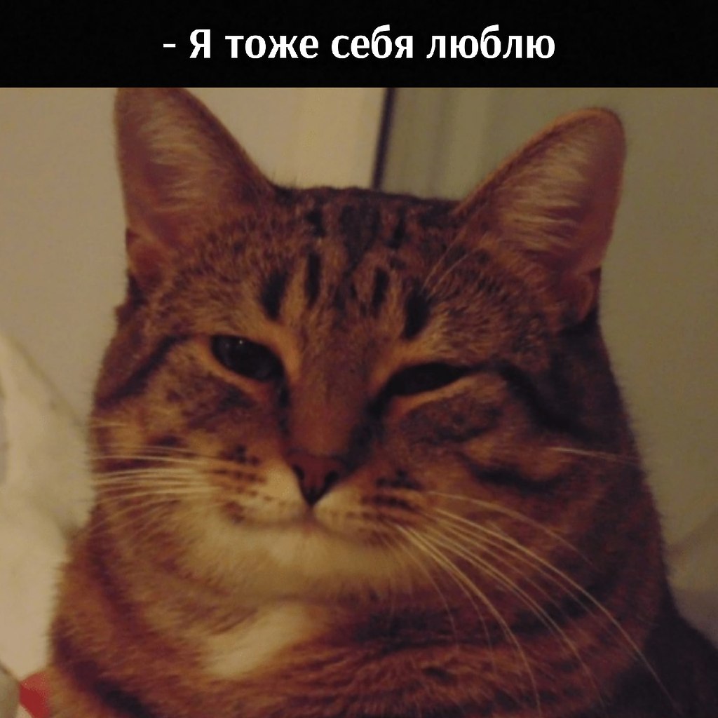 ��� ���� � ����� �� �� - 12 ��� 2021 � 20:14 - 2