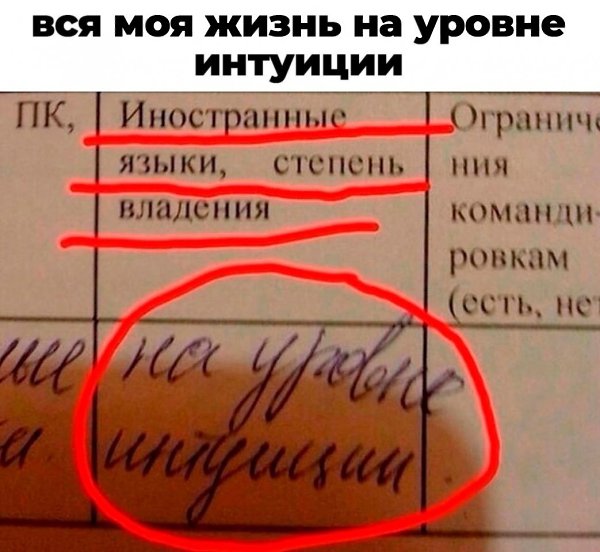 Владею языком на уровне. Иностранными языками не владею. Уровень владения английским языком приколы