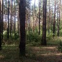 ���� Haver Santa, ���������� ����� - ��������� 28 ���� 2021 � ������ �:)�