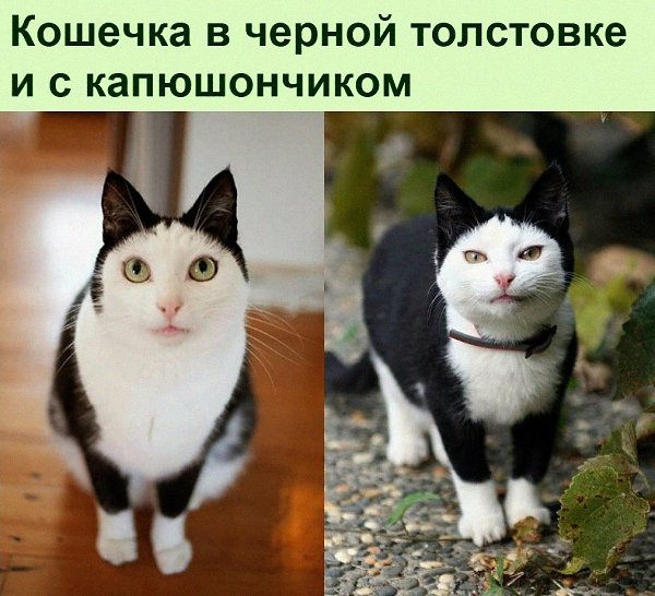   :D - 20  2021  16:49