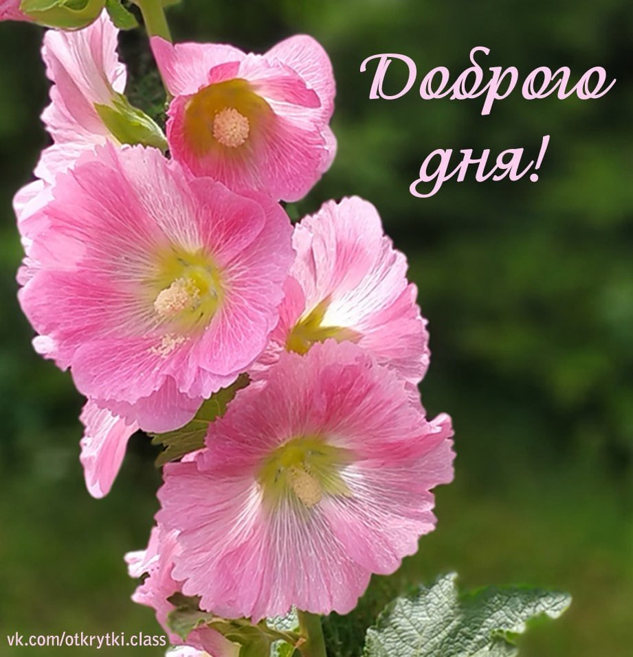   ,    . - 28  2021  12:34 - 7