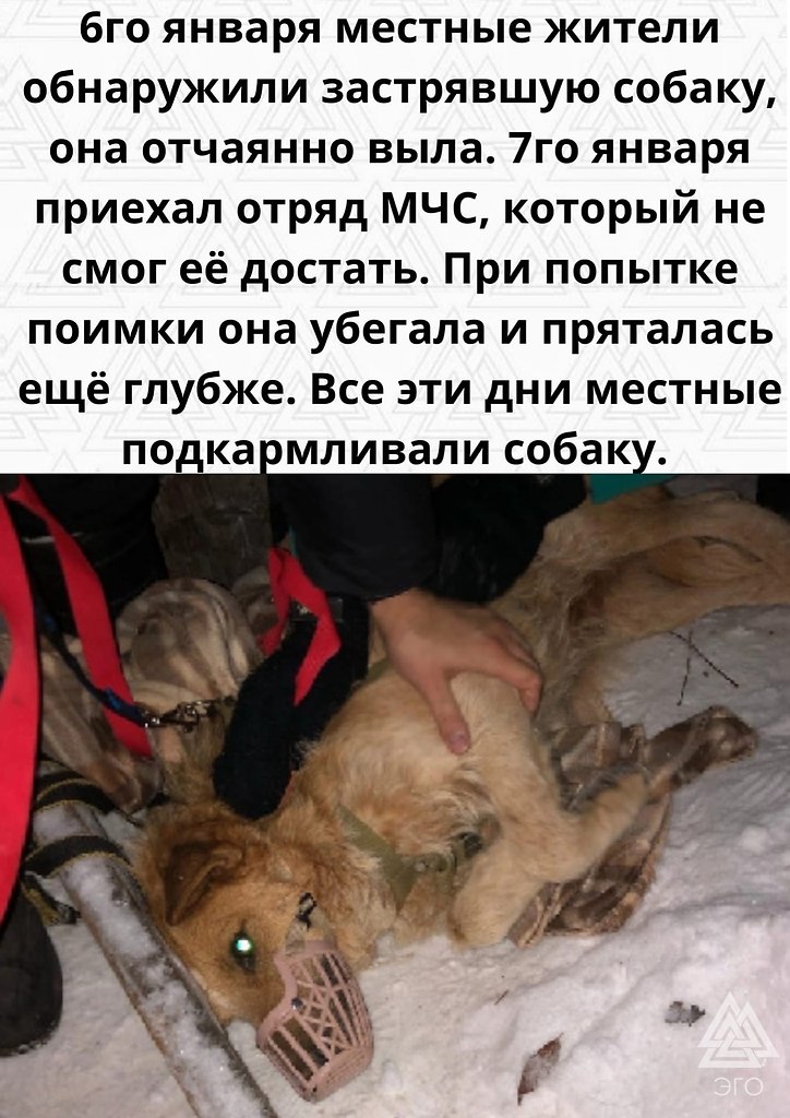    ,   !    - 2