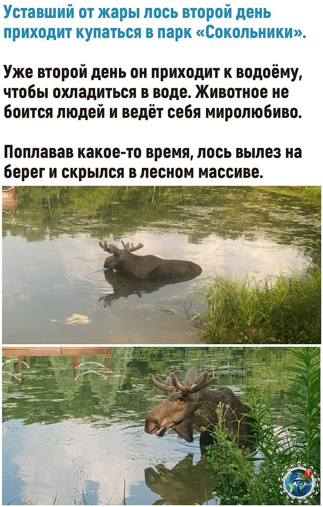 ac ceac o e oeae.