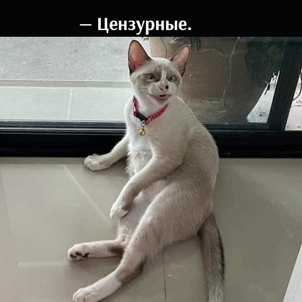       - 21  2021  20:03 - 4