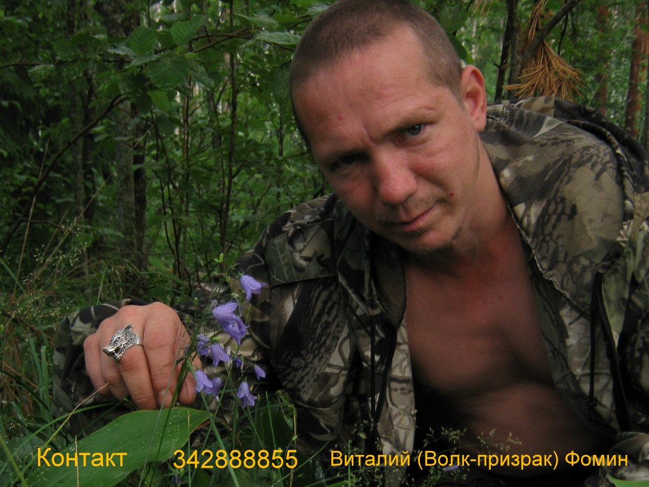    id34288855,             