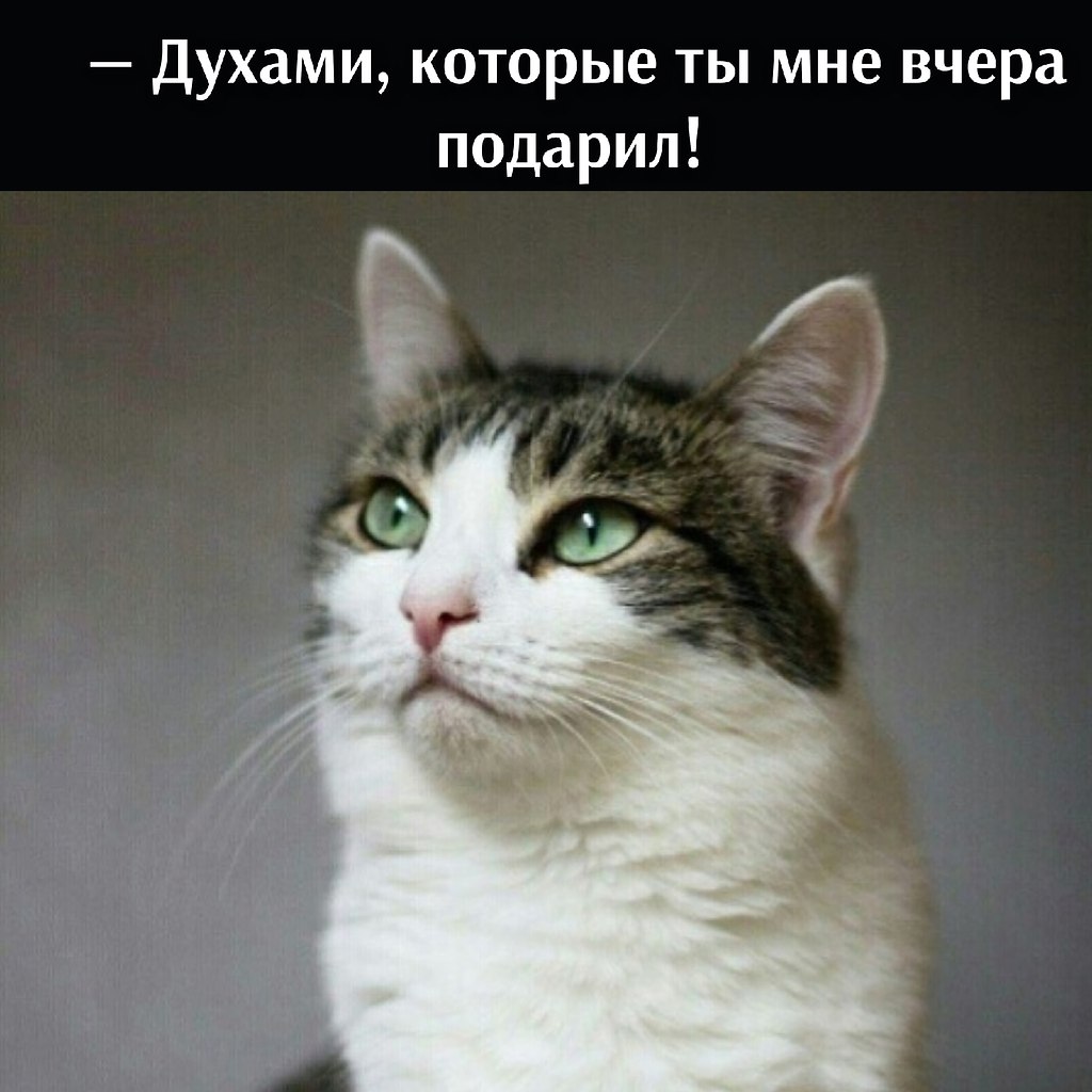       - 30  2021  19:05 - 2