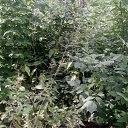 ���� Haver Santa, ���������� ����� - ��������� 28 ���� 2021 � ������ �:)�