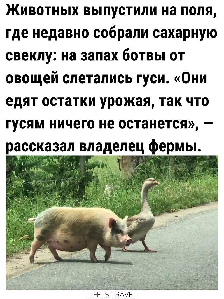LIFE -  - 2  2022  09:26 - 4