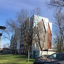 ���� ����������, �����-��������� - ��������� 12 ��� 2021 � ������ ������������