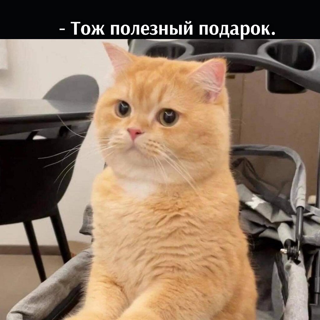       - 5  2021  22:25 - 3