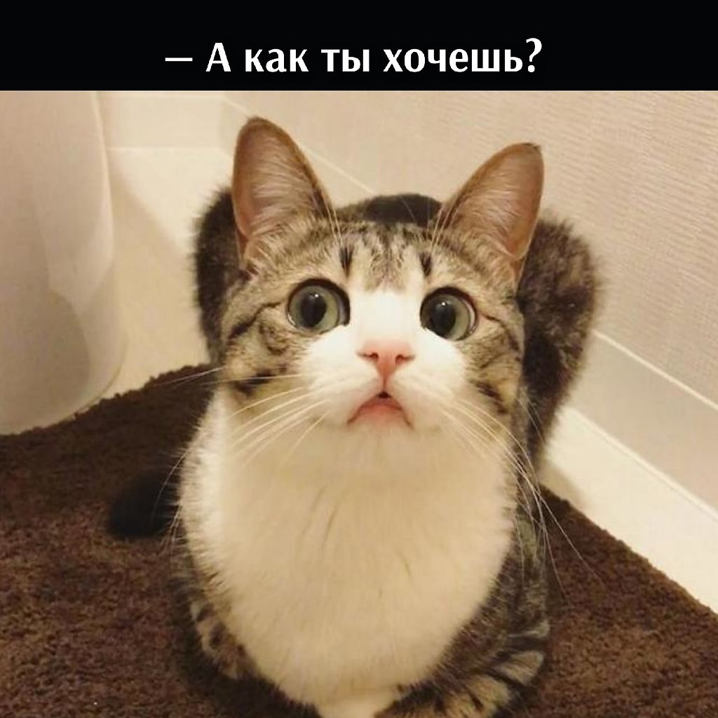       - 21  2021  16:39 - 2