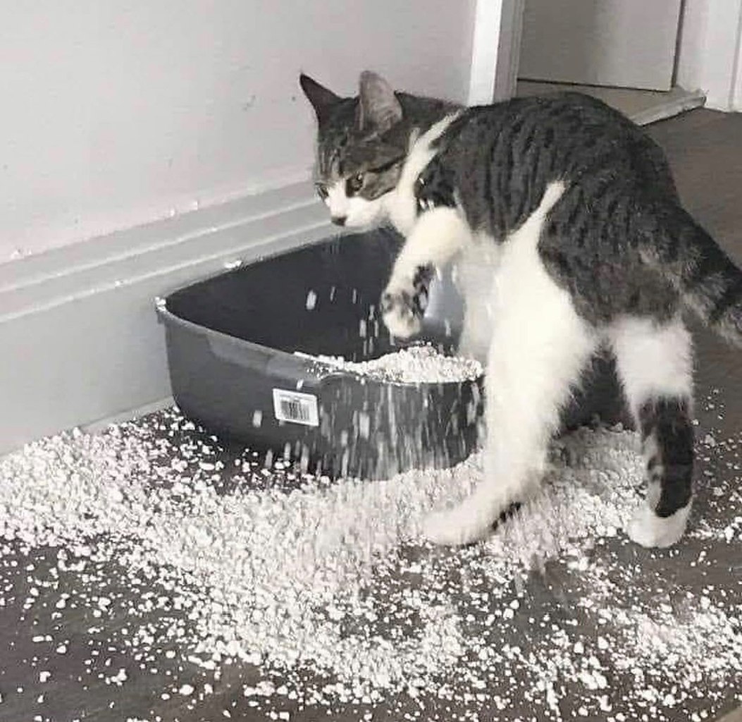       :     ,   ) - 3