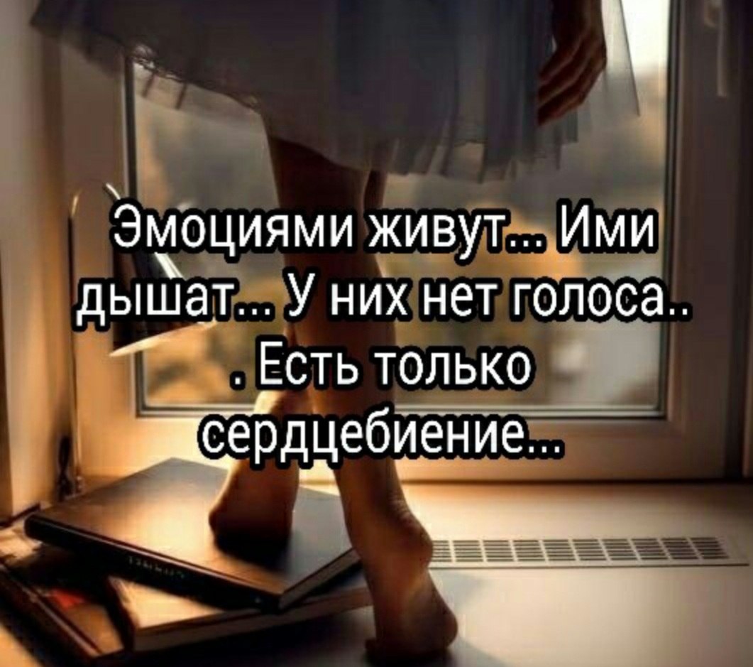 *T* - 15  2021  14:54