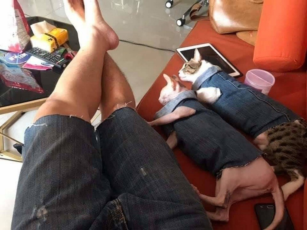 -