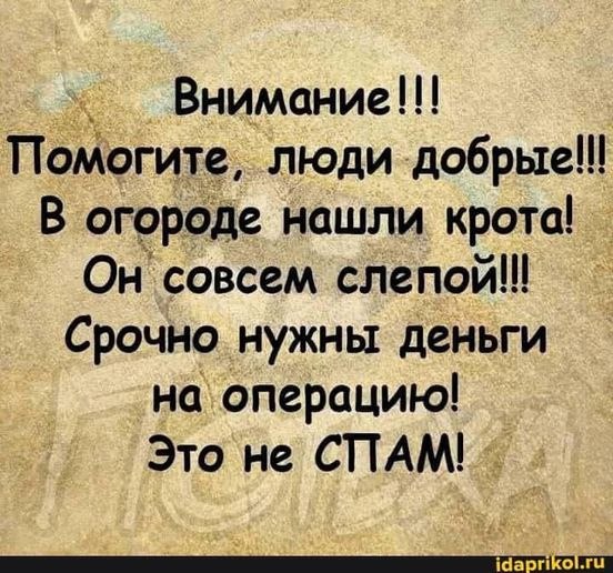   - 16  2021  21:13