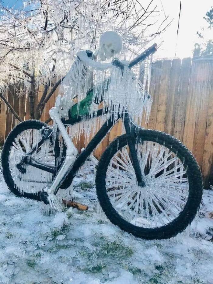  - 12  2022  13:37