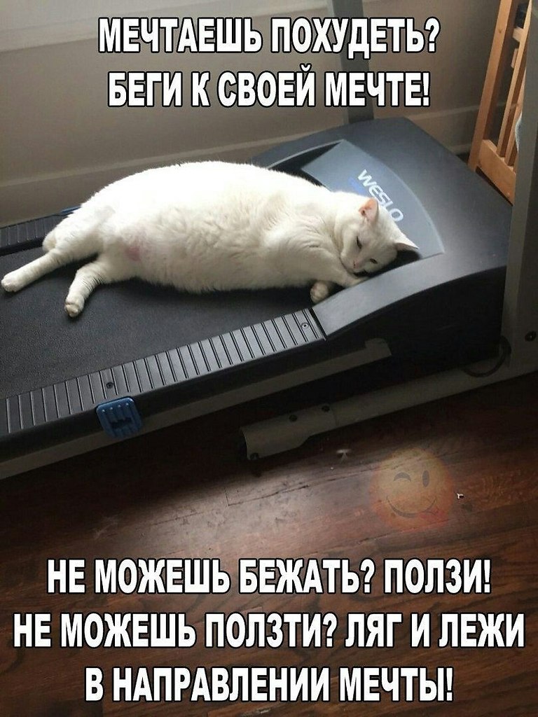    - 27  2021  06:42