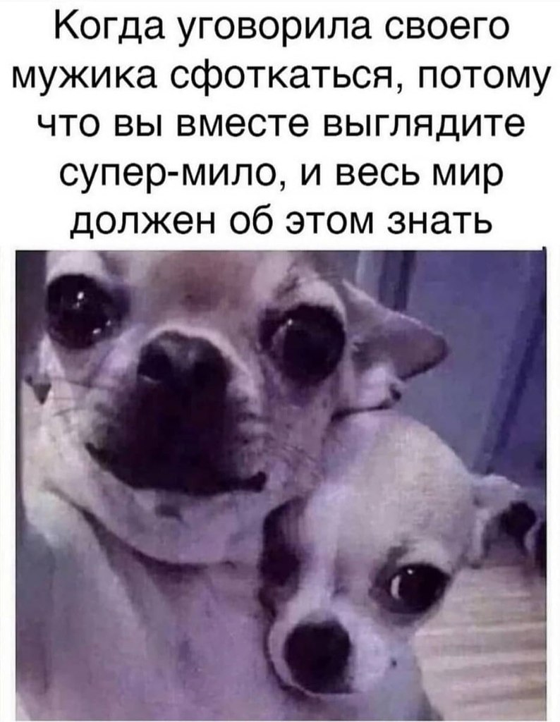   ,    .