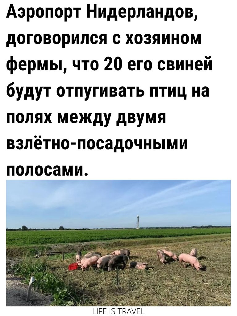 LIFE -  - 2  2022  09:26 - 3