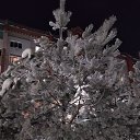 ���� Olga, ������ ��������, 52 ���� - ��������� 4 ������ 2022 � ������ ���� ����������