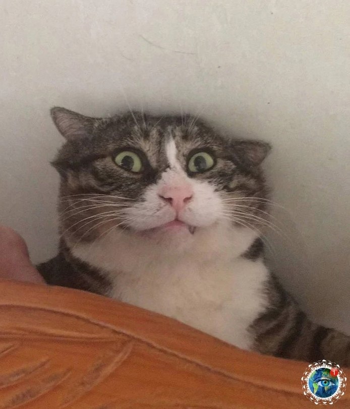 a o  oo a o apco aa? - 4