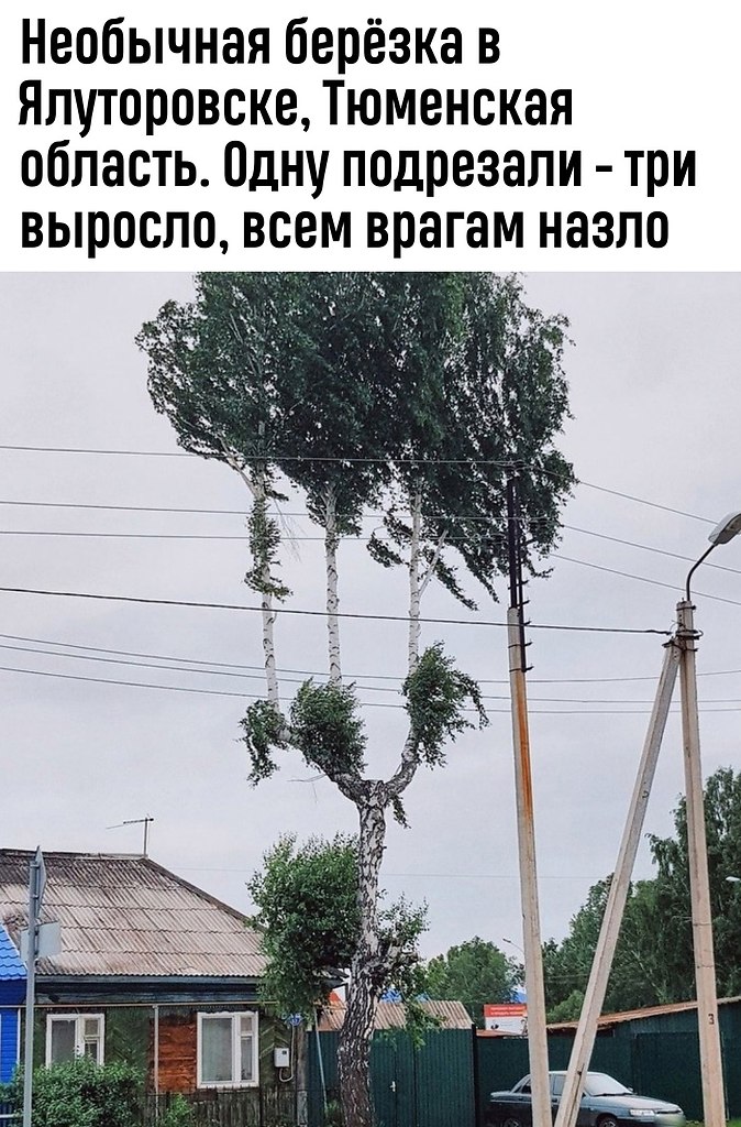 e op