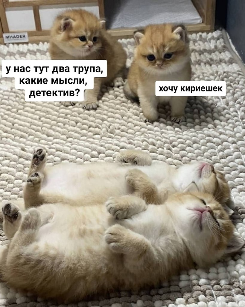  - 9  2021  19:50